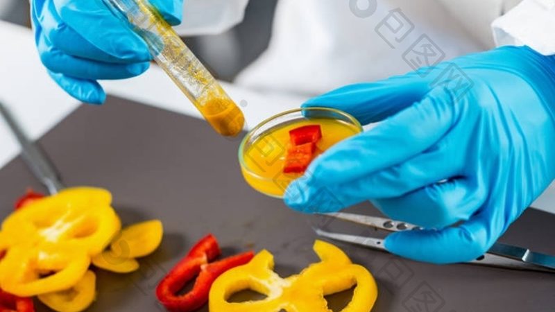 食品招商标准体系：构建食品安全与品牌信赖的桥梁